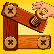 Bolts Nuts Gỗ Screw Puzzle